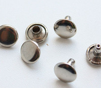 Хольнитены двухсторонние в Калуге