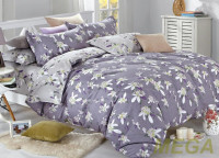 JL VP-905-5/280 P Pech