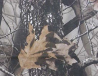 Ткань Оксфорд 600 (5*5) D WR/PU 200 +/-10гр.м2 рул 50м кмф