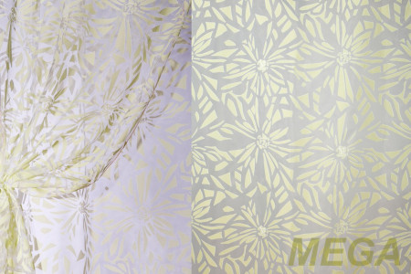 Деворе Органза в Калуге